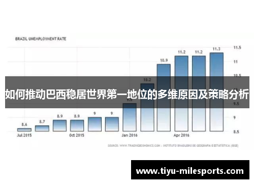 如何推动巴西稳居世界第一地位的多维原因及策略分析